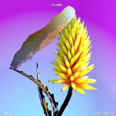 Flume - Say It ft. Tove Lo (Chimera Remix)