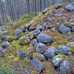 Abraham Lincolnin kaappikello