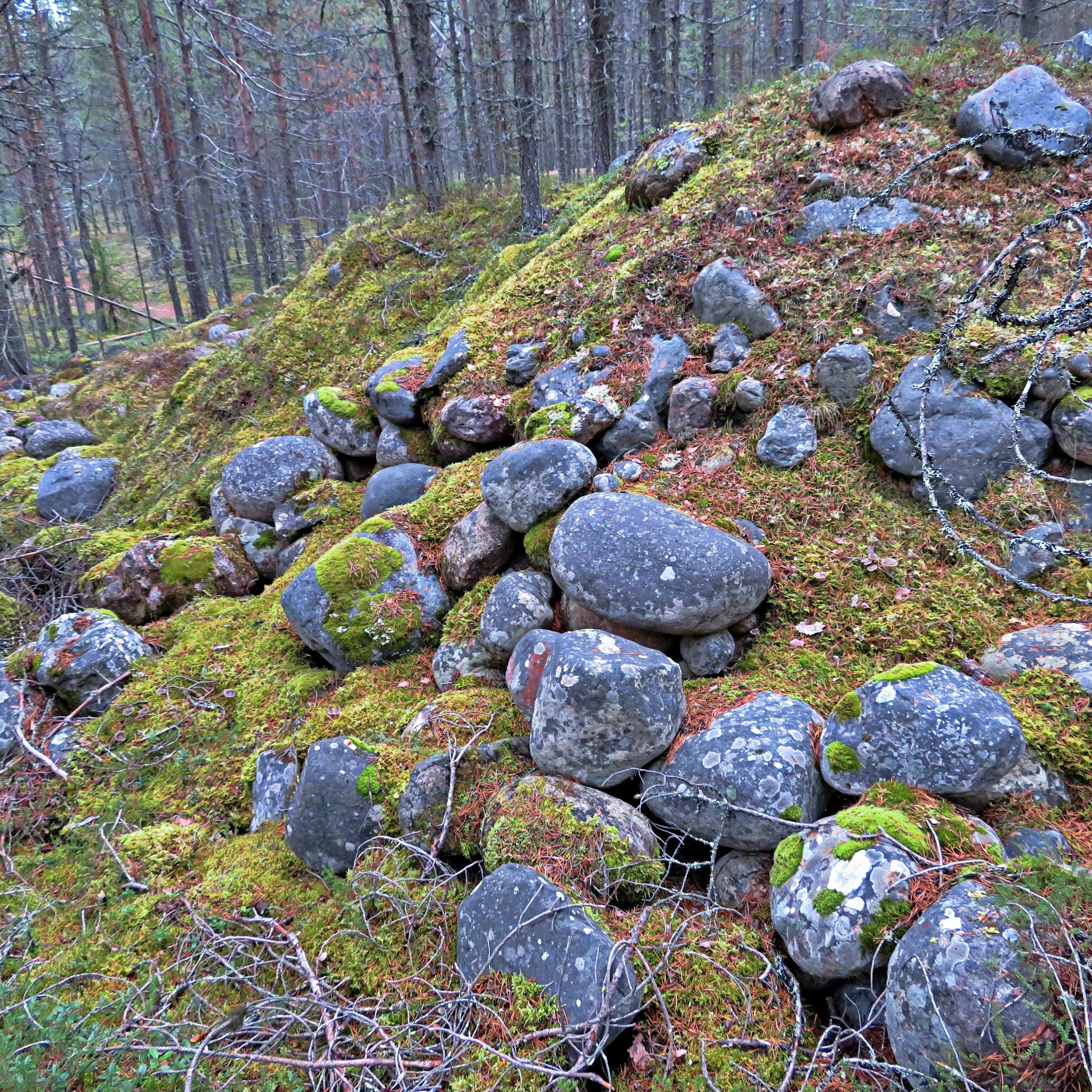 Jukka Kokkonen