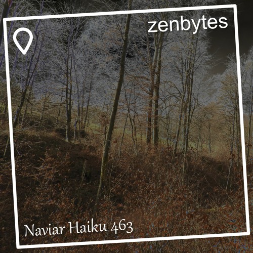 the fall - Naviarhaiku 463