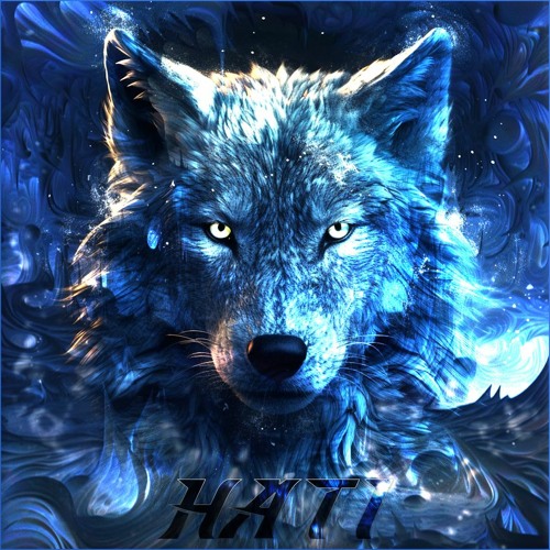 Katek X Bertha | H A T I |