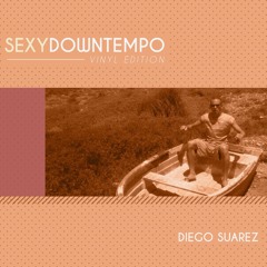 Sexy Downtempo Vol. 6 (Vinyl Edition)