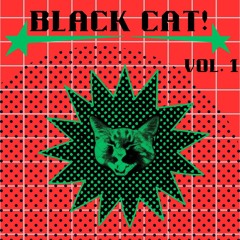 BLACK CAT! Vol. 1