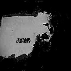 Swamp Donkey - Fuck Knows What It's Called