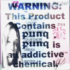 PUNQ - Я много врал