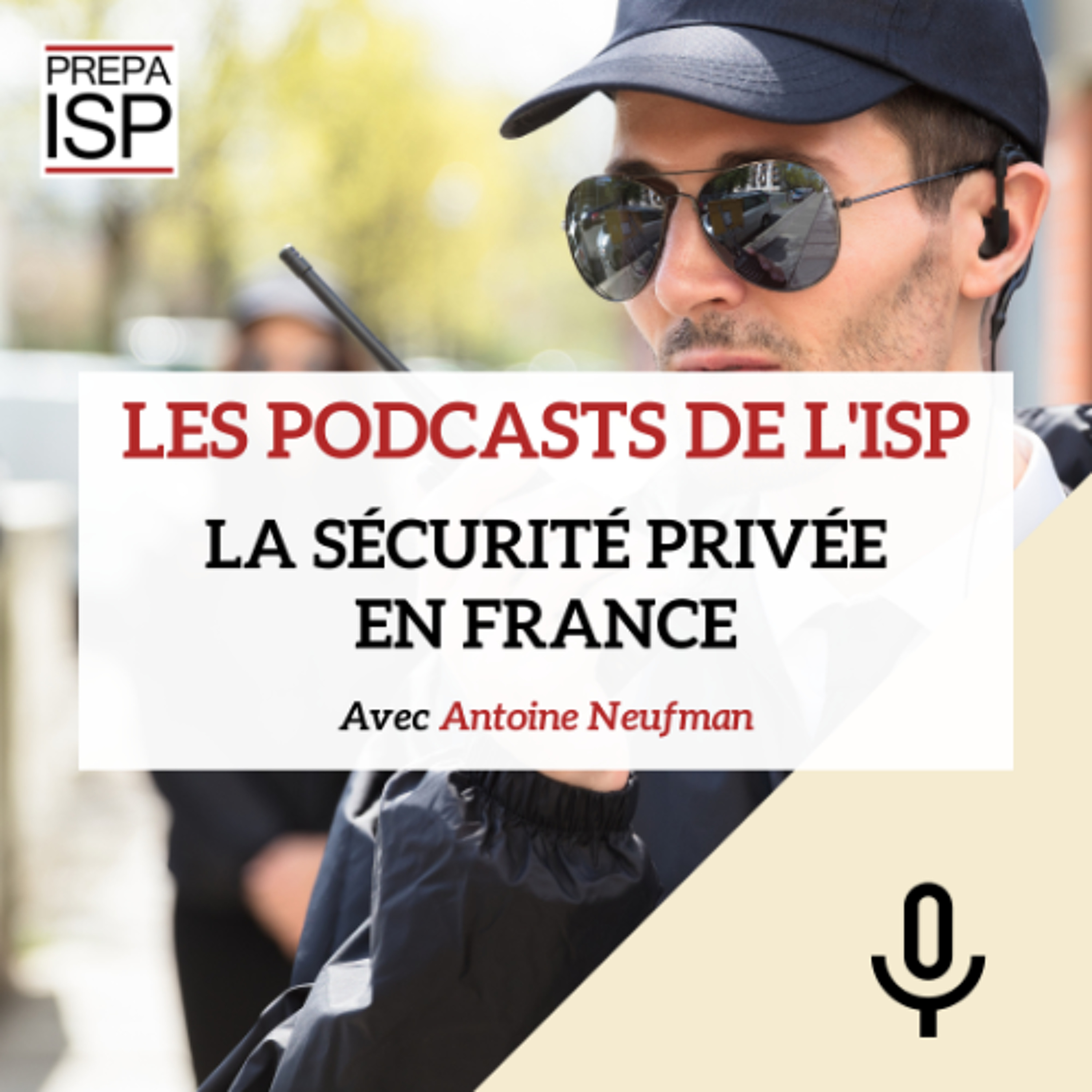 La sécurité privée en France