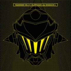 TEAMRIDER Vol: 5 [Shashlyk]