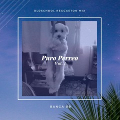 PURO PERREO VOL.1 : OLDSCHOOL REGGAETON  // BANGABABY