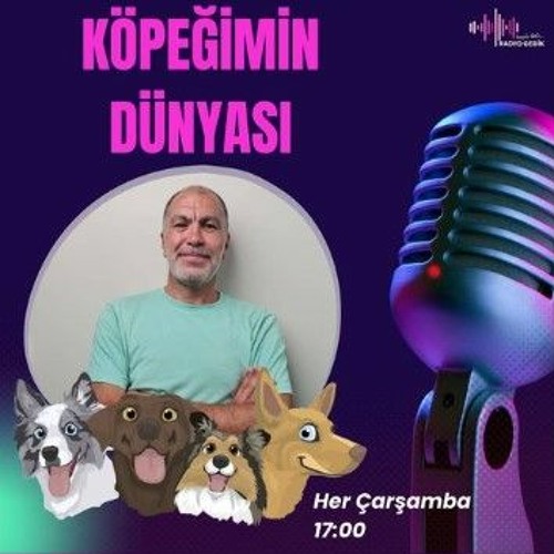 KÖPEĞİMİN DÜNYASI-Bırakın Köpeğiniz Koklasın!