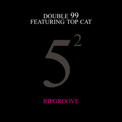 Ripgroove (Double 99 vs 10 Below Remix) [feat. Top Cat]