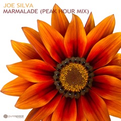 PSRD068: Joe Silva - Marmalade Peak Hour Mix