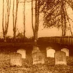 my seat belt saved me from what should happen