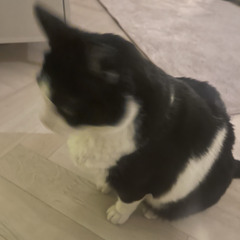 일요일