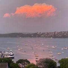 Borne Fruits with Amaliah - 15 July 2024