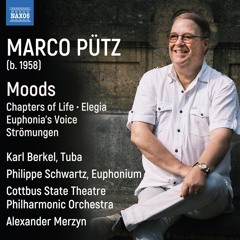 MOODS, for orchestra (2013)