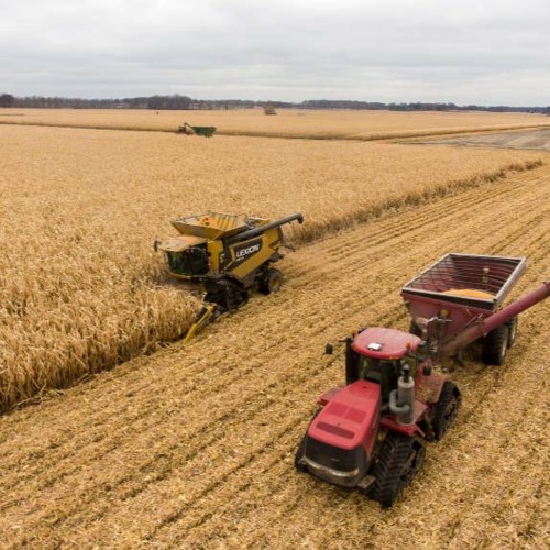 Conférence VertPop : "Vers une autonomie alimentaire en Europe"