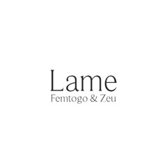 Femtogo & Zeu - Lame