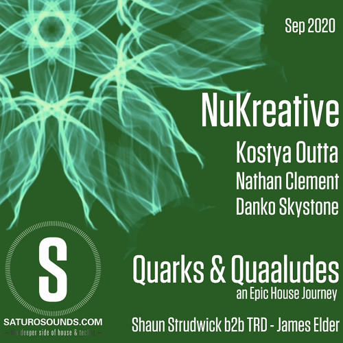 Quarks & Quaaludes B2B -  Shaun Strudwick Vs TRD.