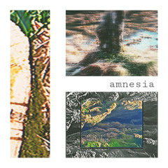 amnesia (ft. shivers)