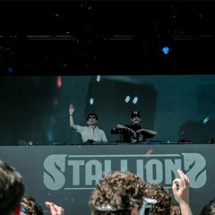 Stallions Hidden City 2024 Live Set