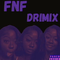 FNF Remix