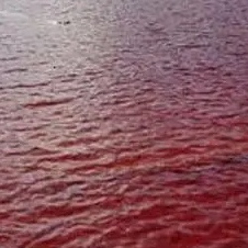 #soho(e)(bbeno+izaya)