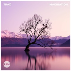 Imagination