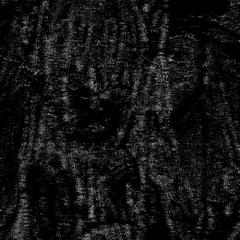 follow my voice //clip