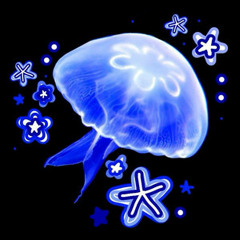 ♤☆jelly☆♤