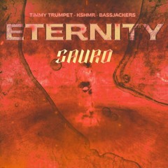 Timmy Trumpet, KSHMR, Bassjackers - Eternity (SAURO REMIX)
