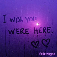 I Wish You Were Here