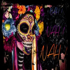 Vodkaal - Nah Nah Nah (Original Mix)