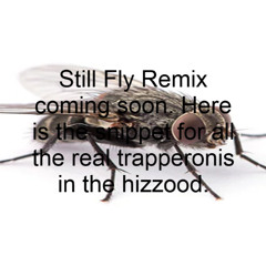 Still Fly Remix Snippet