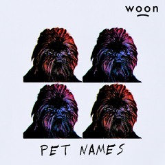 Pet Names