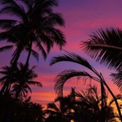 Island Queen - Tyyson x Ky Mo (prodKohenny)