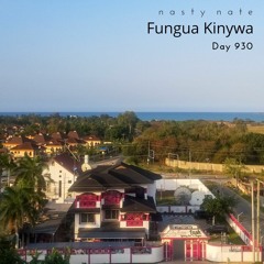 n a s t y  n a t e - Fungua Kinywa. Day 930 - AMAPIANO