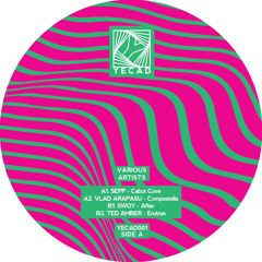 A2. Vlad Arapasu - Compostella