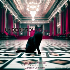 Underground Cats - Capi (CAP10) Ft Leader