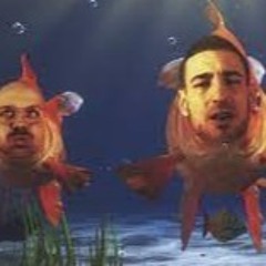 wo sind meine fische TEKK