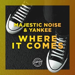 Majestic Noise & Yankee - Where It Comes
