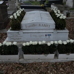 Walking on a Graveyard