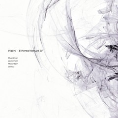 AF Premiere: Vidění - Waterfall [Subosc Records][OUT!! 25.10.24]