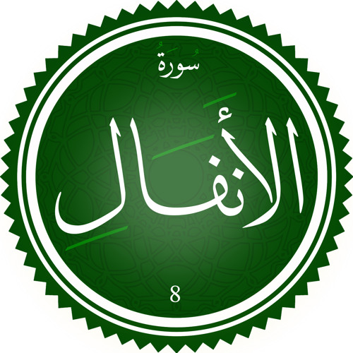 سورة الأنفال - القارئ عبد الرحمن يحيي - صلاة القيام - رمضان ٢٠٢٥