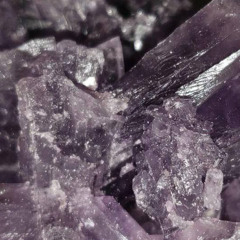 G4xst x Toxic - Turn me on.mp3