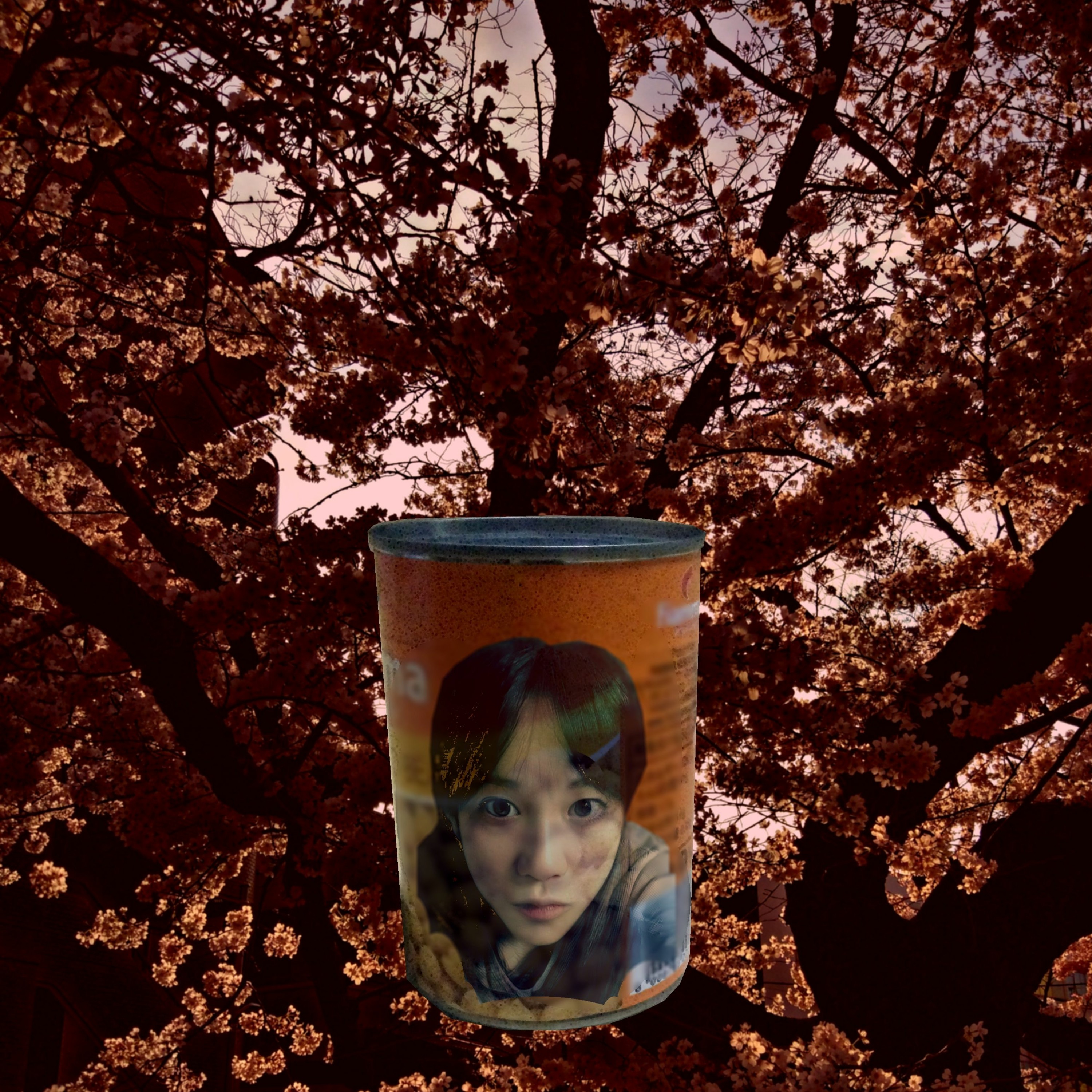 Vase without a tag episode artwork
