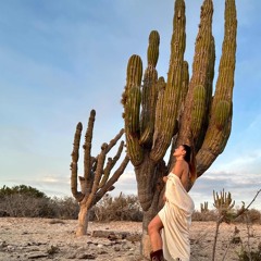 Tierra Sagrada 528hz ✧ Dance Meditation ༄ Marsseia