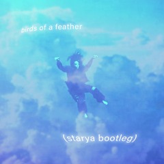 billie eilish - birds of a feather (starya bootleg)