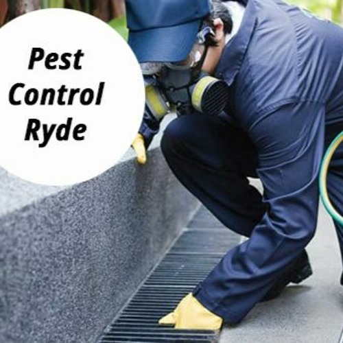 Cons For DIY Pest Control Ryde