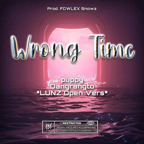 Wrong Times - ( LƯNZ open vers. ) puppy x Dangrangto ( Prod. FOWLEX Snowz )