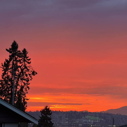 295 return- sidhu moosewala